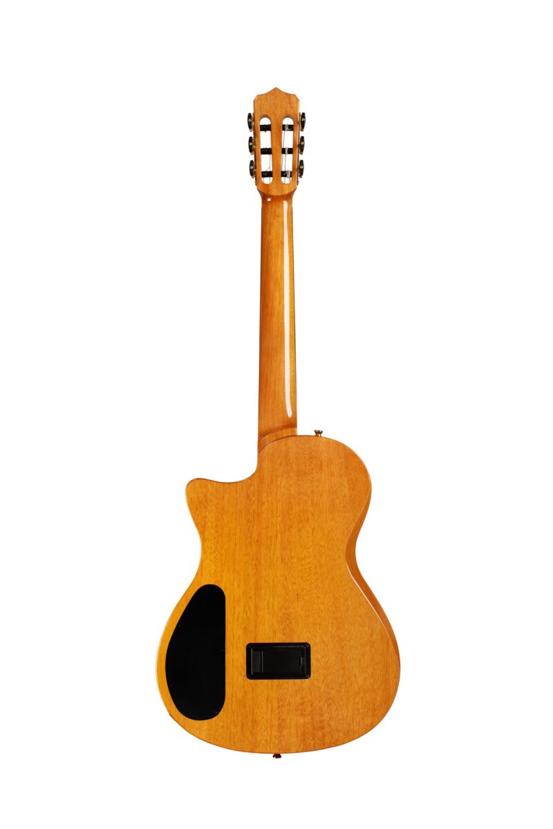 CORDOBA ITALIA STAGE GUITAR ZIRICOTE LIMITED - immagine 2