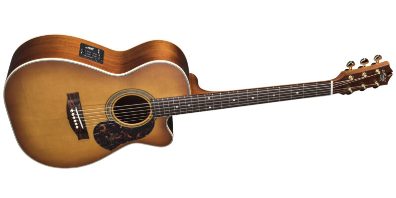 MATON EBG808C NASHVILLE W/CASE - immagine 3