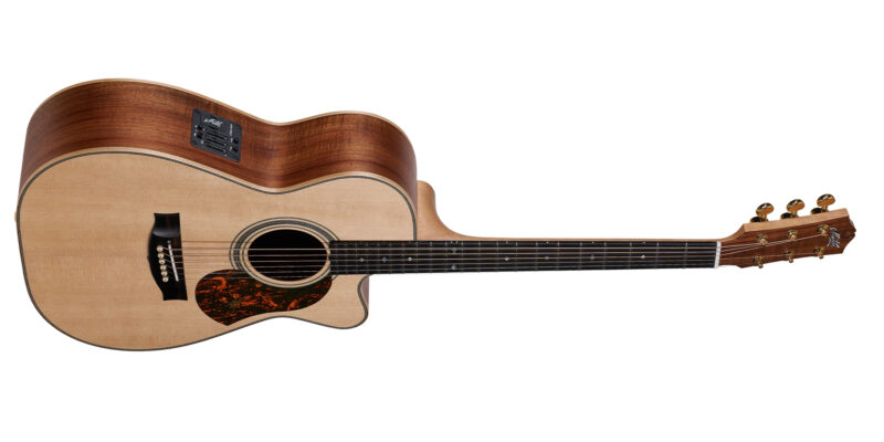 MATON EBG808C ARTIST W/CASE - immagine 2