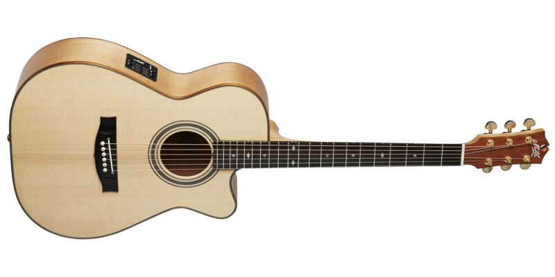 MATON EBG808C MIC FIX W/CASE - immagine 2
