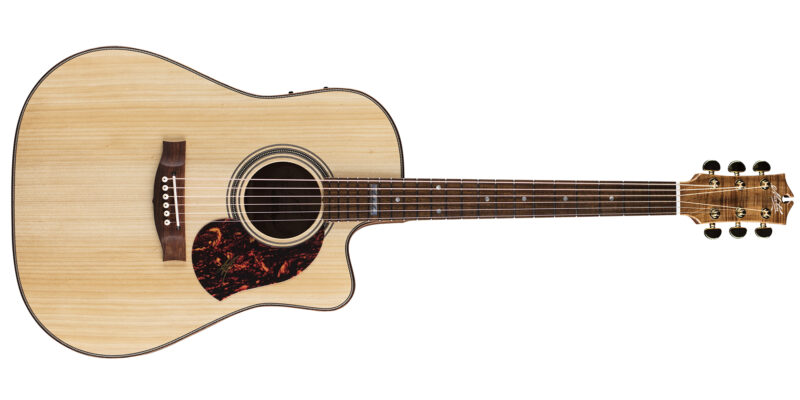 MATON EA80C AUSTRALIAN W/CASE - immagine 2