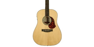 MATON MB-DREADNOUGHT W/DLX CASE