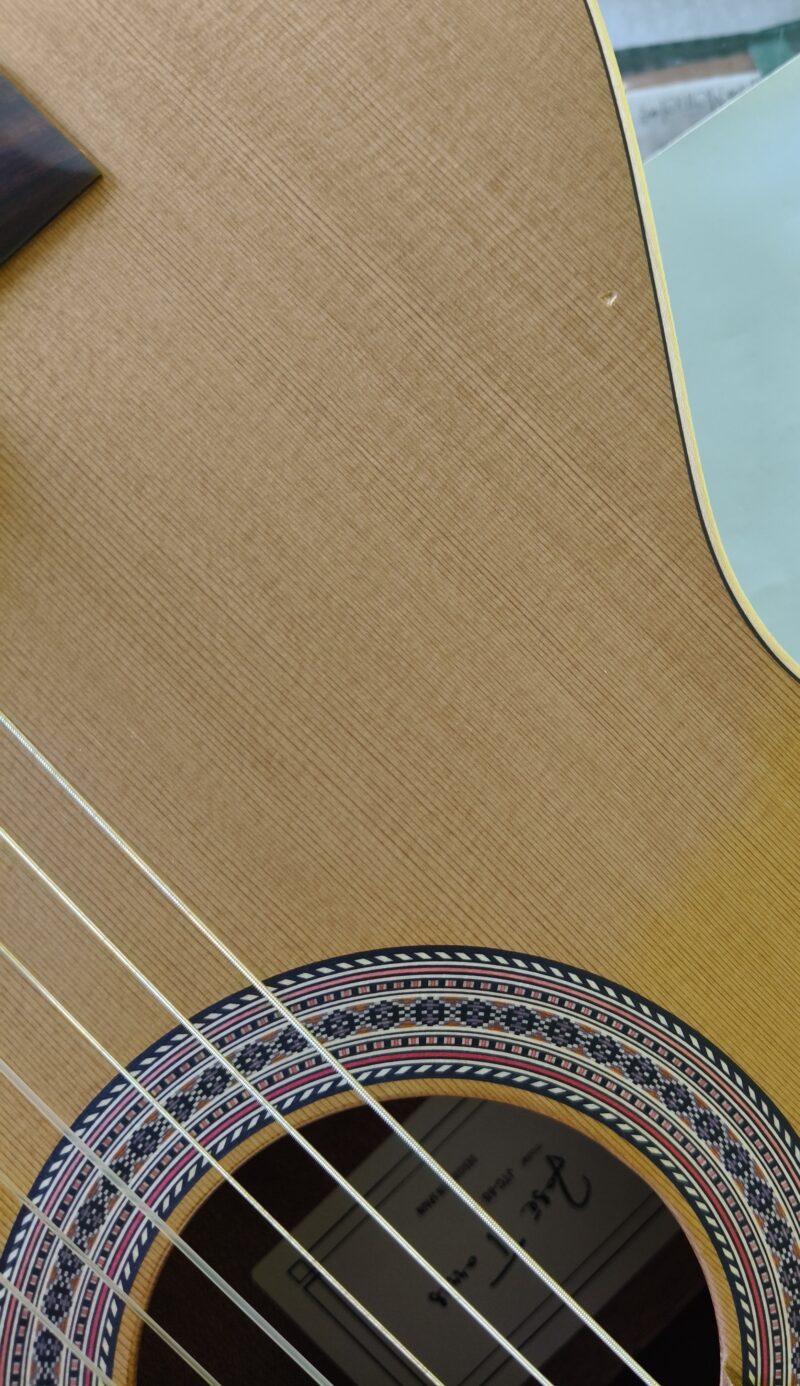 JOSE TORRES JTC-5S - immagine 2