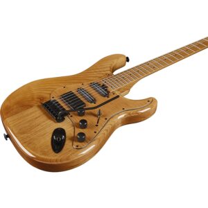 Eko Guitars Aire 601 Lignum