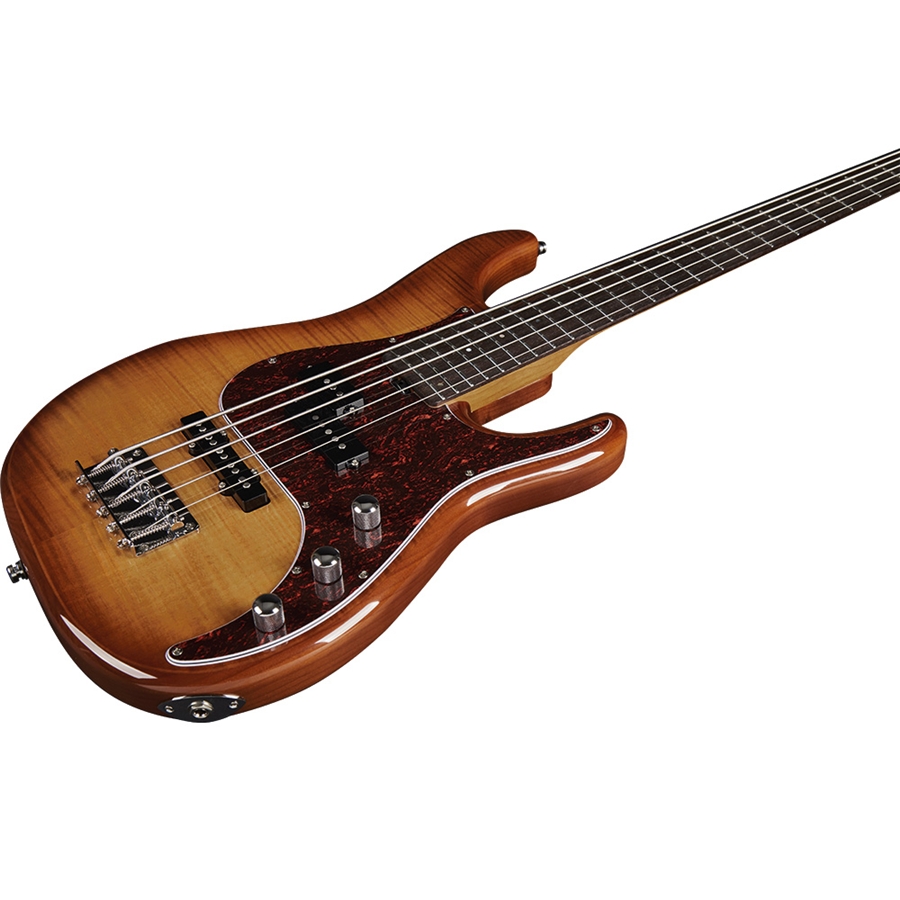 Eko Guitars Aire 800-5 Musa Bass Honey Burst