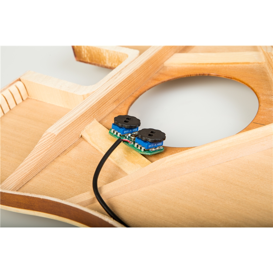 Eko Guitars Perlucens Aurum