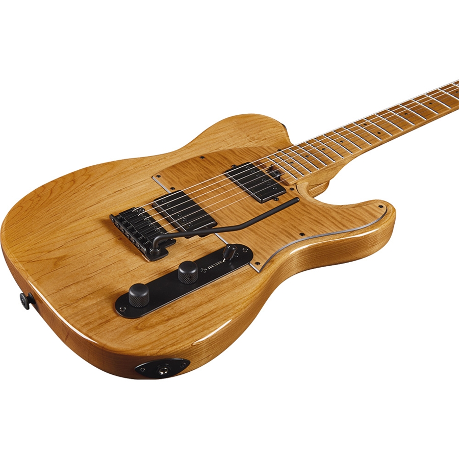 Eko Guitars Tero 601 Lignum