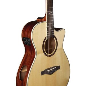Eko Guitars Tri A300ce