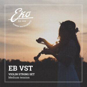 Eko Bowed instrument EB VST
