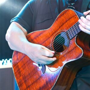 Fishman Fluence Acoustic ROCK ICON Guitar Pickup (PRO-FLA-RR1)