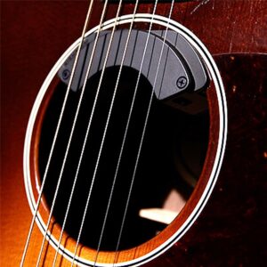 Fishman Fluence Acoustic SPOTLIGHT Guitar Pickup (PRO-FLA-SP1)