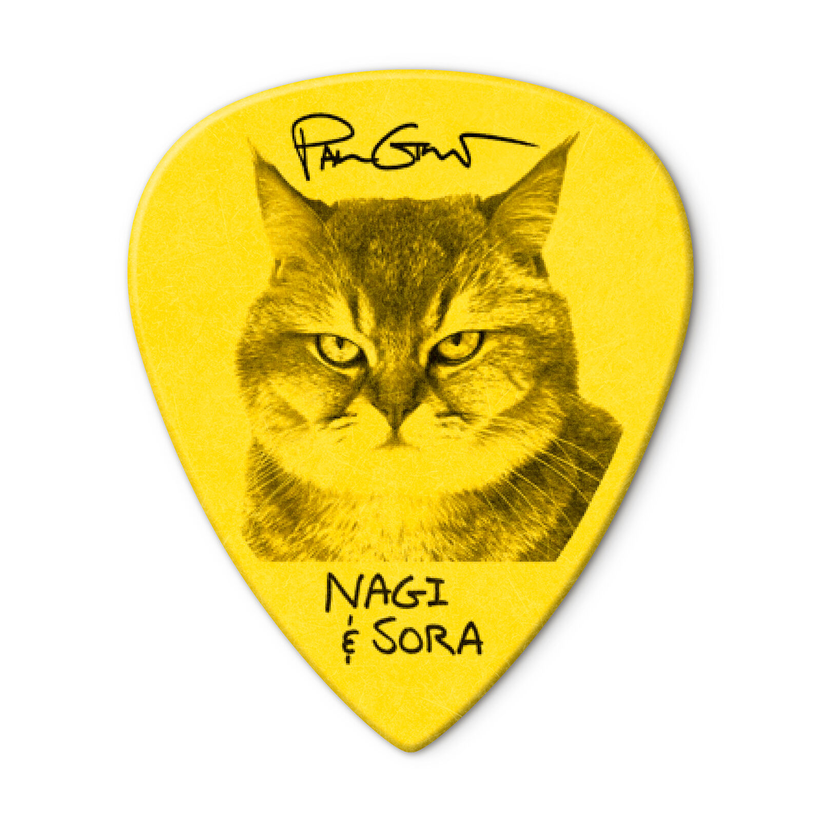 Dunlop PG462P Paul Gilbert Custom Tortex TIII 0.73 mm Player's Pack 12