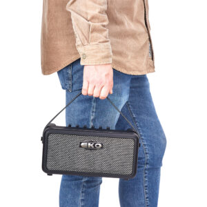 Eko Guitars BAIO AMP 15