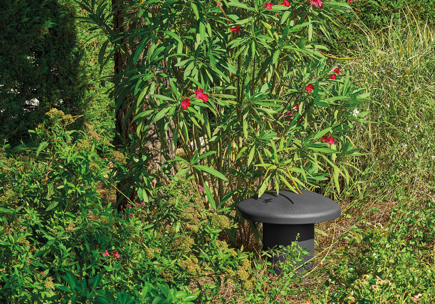 Focal SFC OD SUB 12 DARK