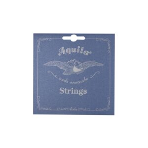 Aquila 109C Classic Guitar Set 10-st Yep