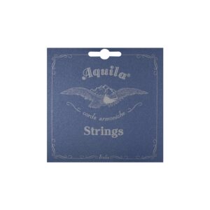 Aquila 92C Classic Guitar Set 10-st