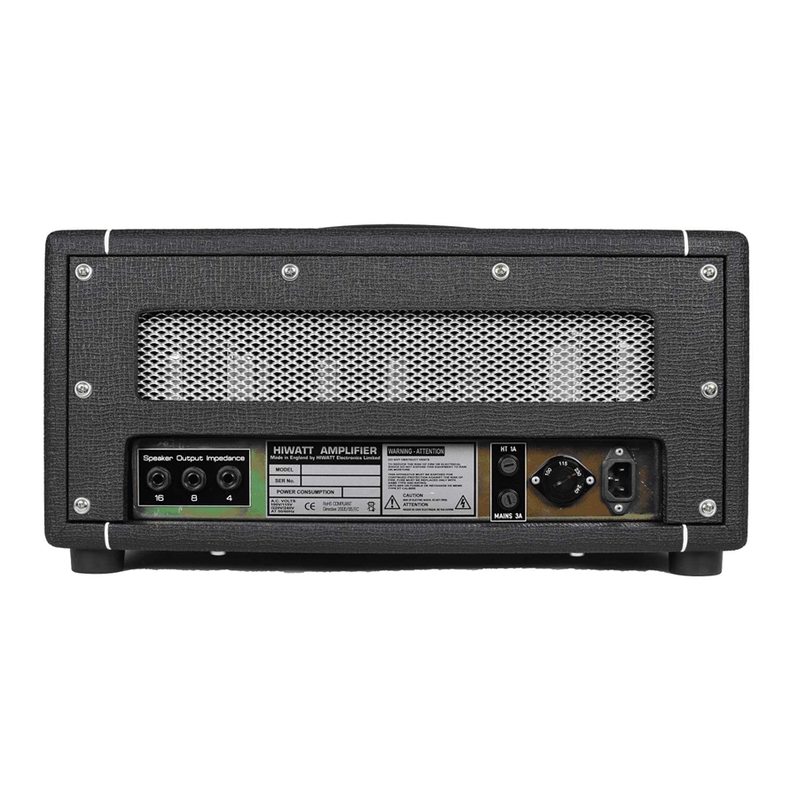 Hiwatt Custom Hiwatt 20 Head testata 20 W
