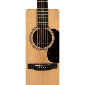 C.F. Martin & Co. D-16E-01 Rosewood