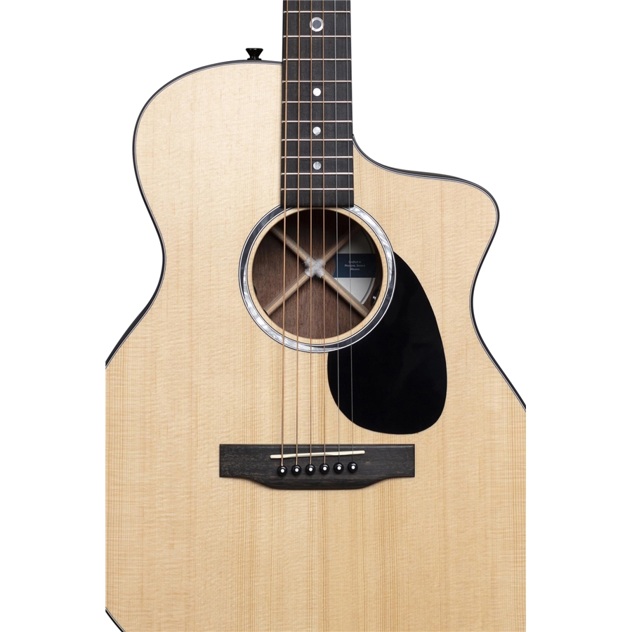 C.F. Martin & Co. SC-10E