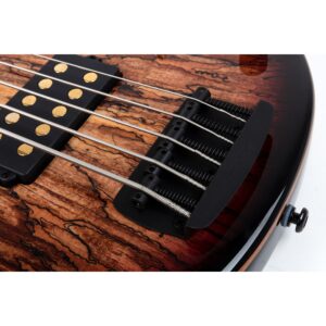 Music Man 35th Anniversary StingRay 5 H