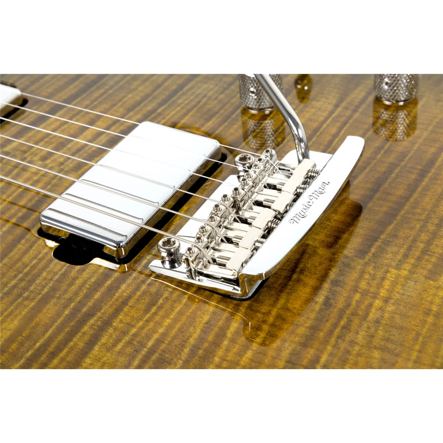 Music Man Luke 4 HH Gator Burst Flame
