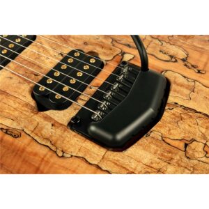 Music Man Majesty Spalted Top Spice Melange