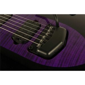 Music Man Majesty Wisteria Bloom