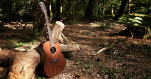 Lag SAUVAGE-DCE Chitarra Acustica Dreadnought Cutaway EQ