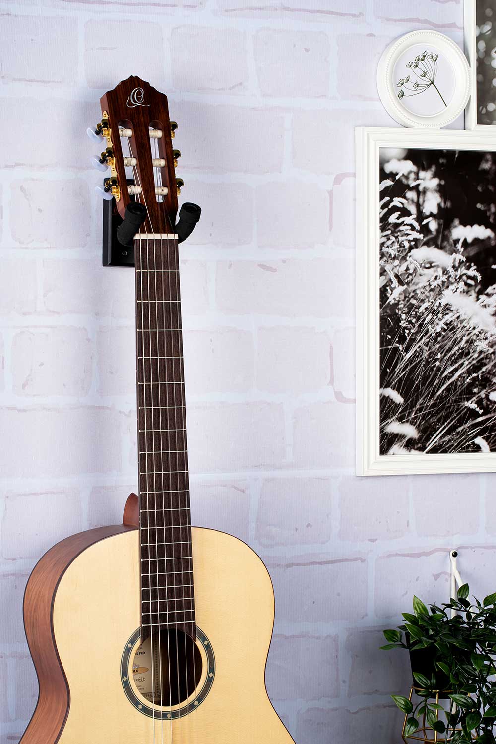 ORTEGA OGH-1