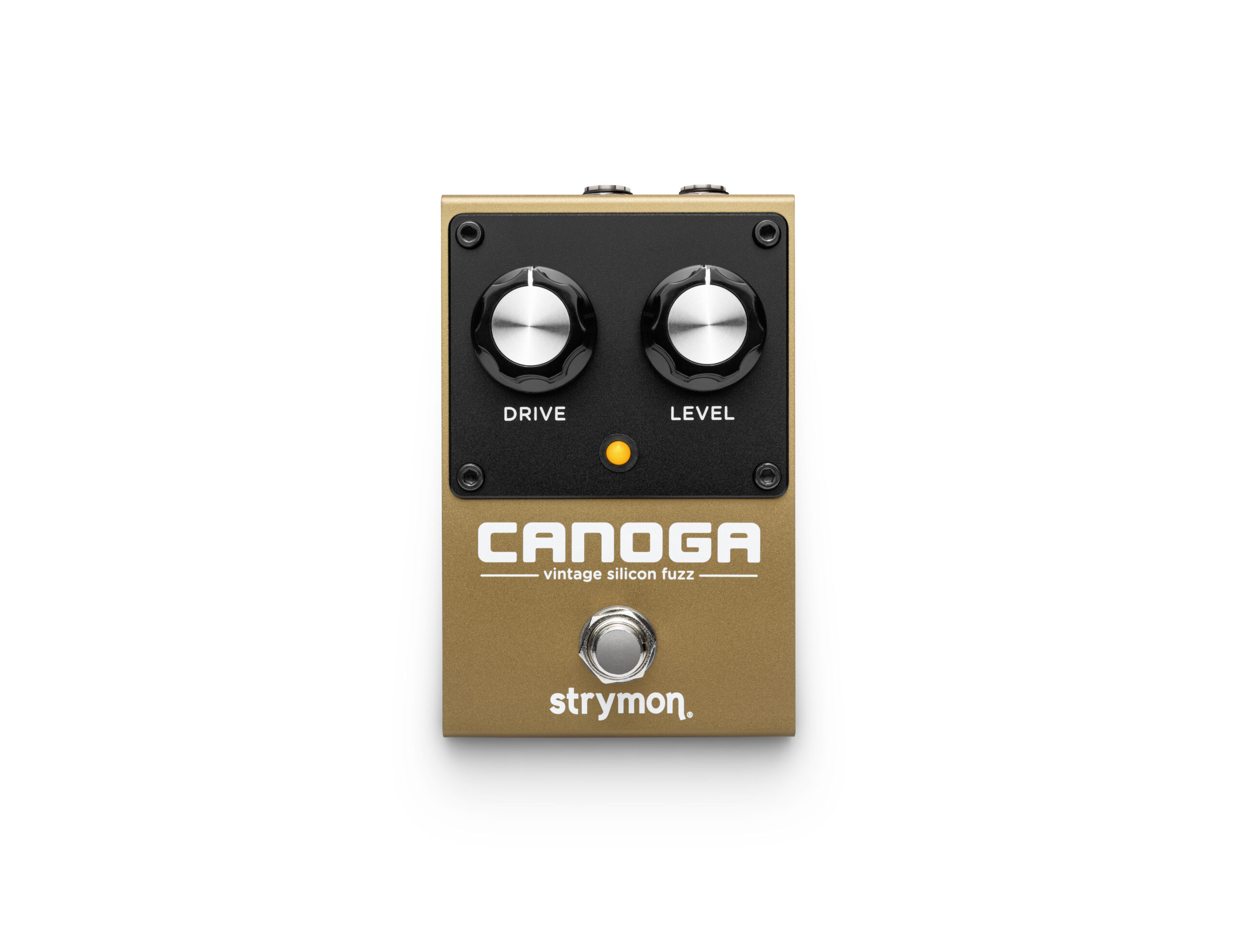STRYMON CANOGA