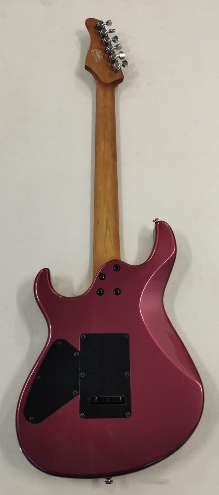 CORT G300 PRO VVB