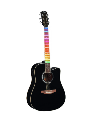 Eko Guitars Ranger CW EQ Black Visual Note