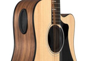 Gibson Accessories GA-FDBKSPR3 Acoustic Player Port Cover