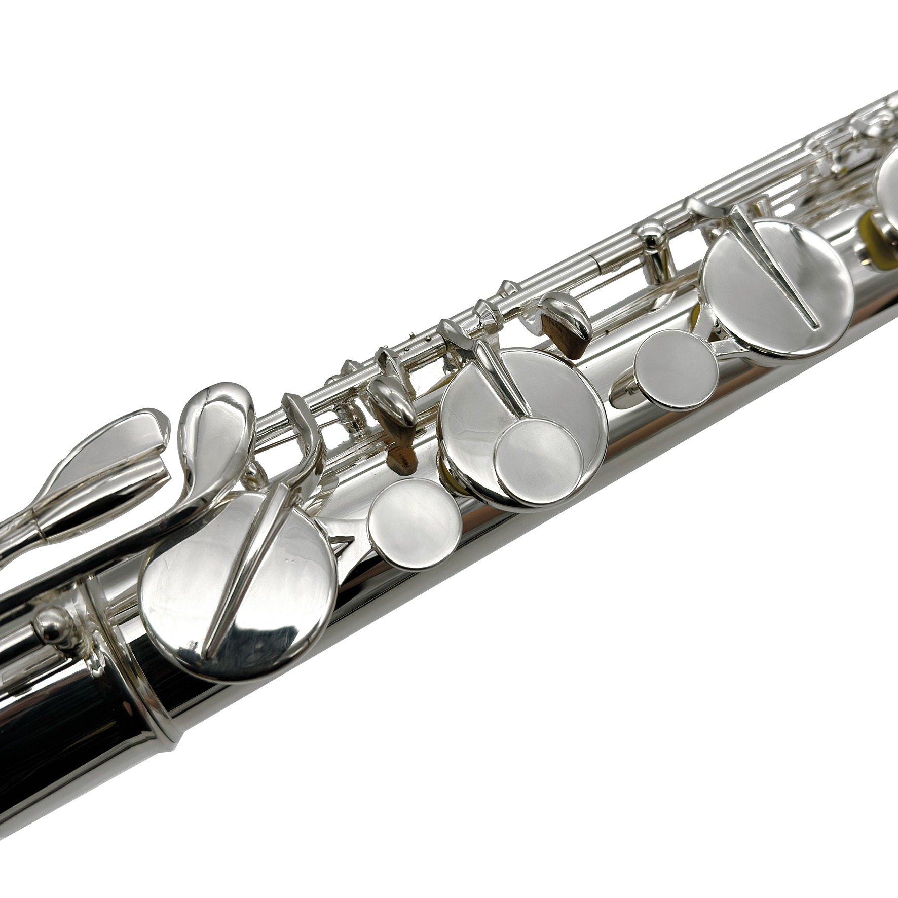 L.A. Ripamonti FLB4781SE